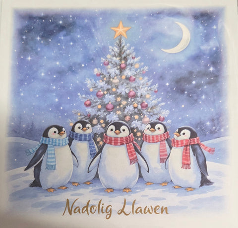 Nadolig Llawen (pack)|Nadolig Llawen (pecyn)