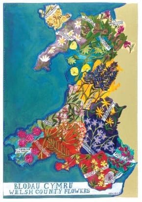 Welsh County Flowers|Blodau Cymru