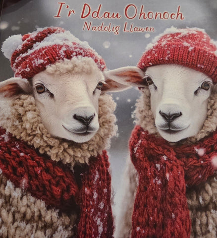 I'r Ddau Ohonoch, Nadolig Llawen