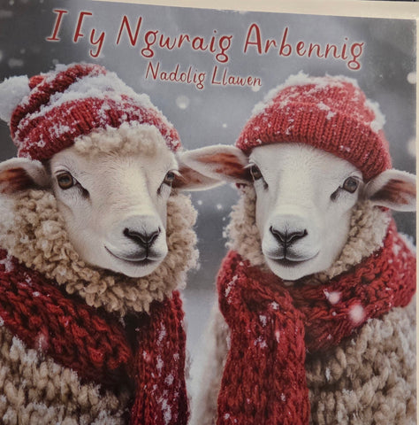 I Fy Ngwraig Arbennig, Nadolig Llawen