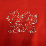 Girls Diamonte Red Dragon Skinni T-shirt|Crys Draig Goch