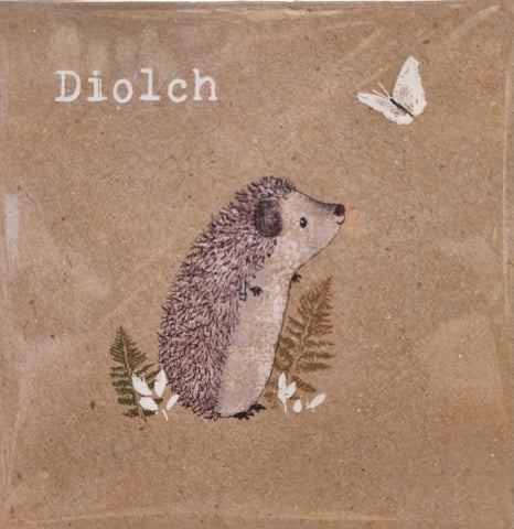 Diolch (Pack)|Diolch (Pecyn)