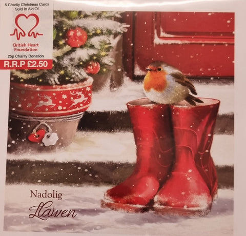 Nadolig Llawen (pack) |Nadolig Llawen (pecyn)