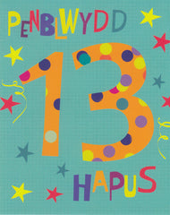 Penblwydd Hapus - 13
