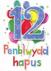 Penblwydd Hapus - 12