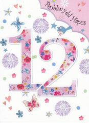 Penblwydd Hapus - 12