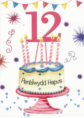 Penblwydd Hapus - 12
