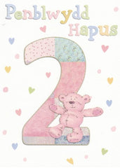 Penblwydd Hapus - 2