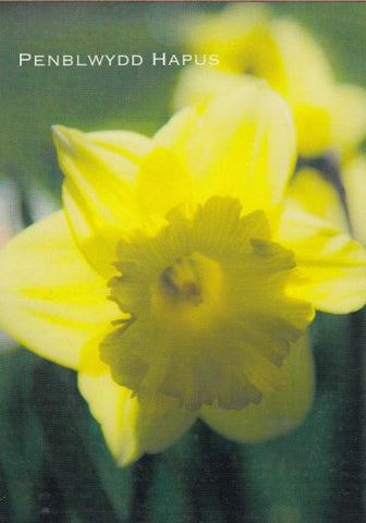 Penblwydd Hapus