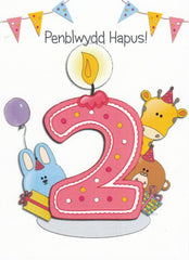 Penblwydd Hapus - 2