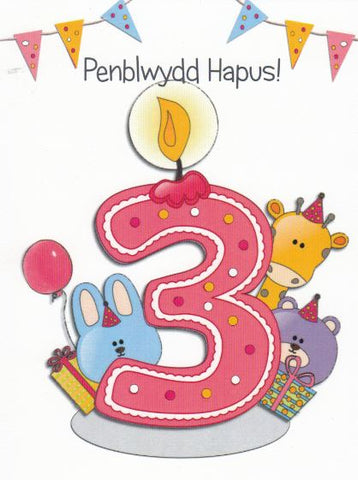 Penblwydd Hapus - 3
