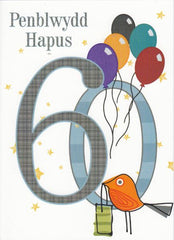 Penblwydd Hapus - 60