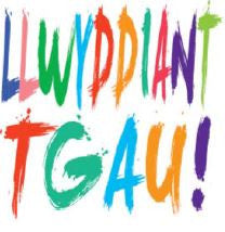 Llwyddiant TGAU!