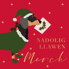 Nadolig  Llawen Merch