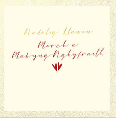 Nadolig Llawen Merch a Mab-yng-Nghyfraith
