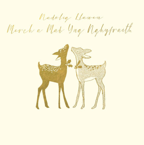 Nadolig Llawen Merch a Mab-yng-Nghyfraith