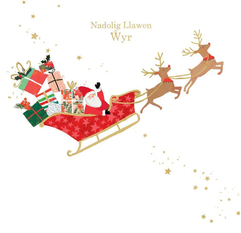 Nadolig Llawen Wyr