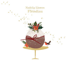 Nadolig Llawen Ffrindiau