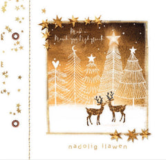 Mab a Merch-Yng-Nghyfraith, Nadolig Llawen