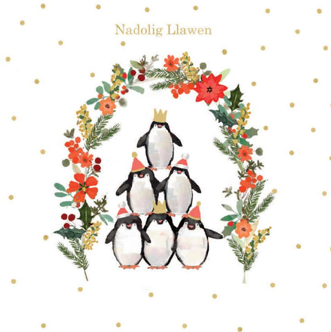 Nadolig Llawen (pack) |Nadolig Llawen (pecyn)