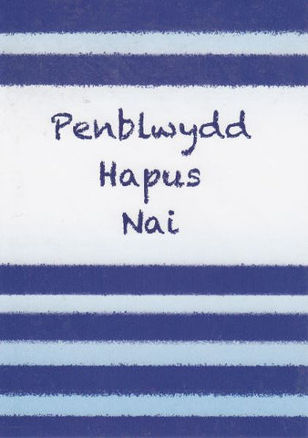 Penblwydd Hapus Nai