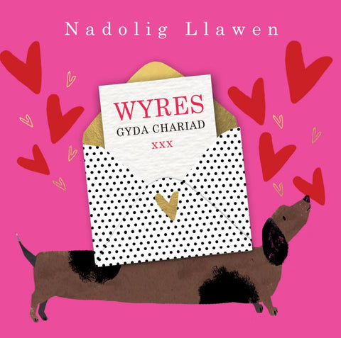 Nadolig Llawen Wyres