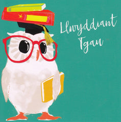 Llwyddiant TGAU