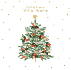 Mab a'i Bartner, Nadolig Llawen