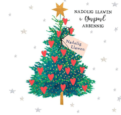 Nadolig Llawen i Gwpwl Arbennig
