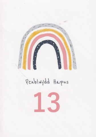 Penblwydd Hapus - 13