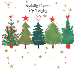 Nadolig Llawen i'r teulu