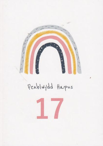Penblwydd Hapus - 17