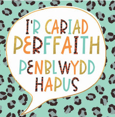I'r Cariad Perffaith, Penblwydd Hapus