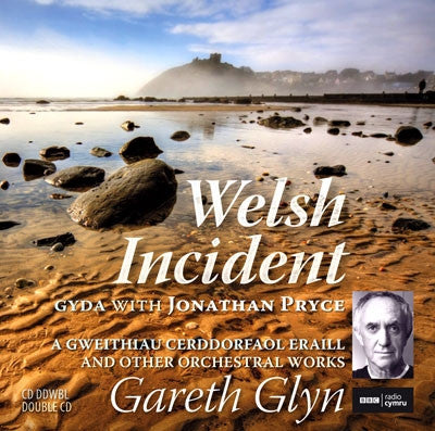 Gareth Glyn, Welsh Incident