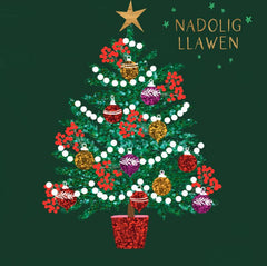 Nadolig Llawen (pack) |Nadolig Llawen (pecyn)