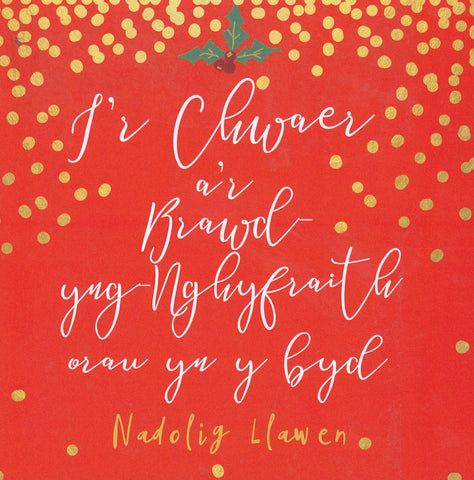 I'r Chwaer a'r Brawd-yng-Nghyfraith Orau yn y Byd, Nadolig Llawen