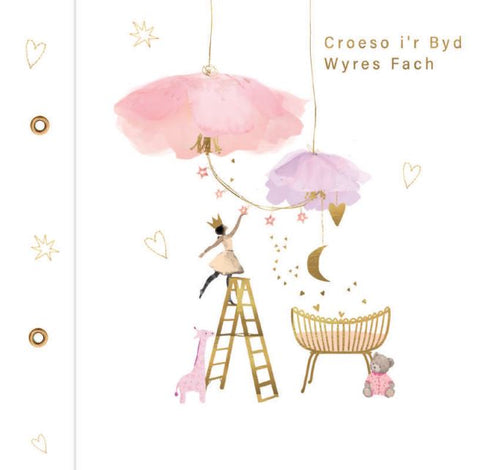 Croeso i'r Byd, Wyres Fach