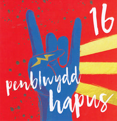 Penblwydd Hapus - 16