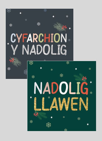 Nadolig Llawen (pack)|Nadolig Llawen (pecyn)