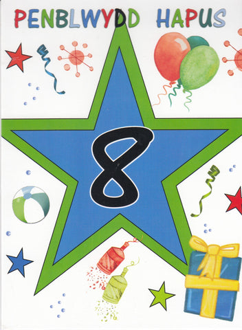 Penblwydd Hapus - 8
