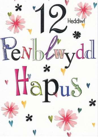 Penblwydd Hapus - 12