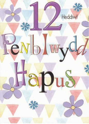 Penblwydd Hapus - 12