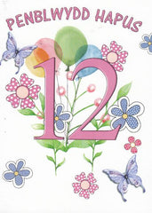 Penblwydd Hapus - 12