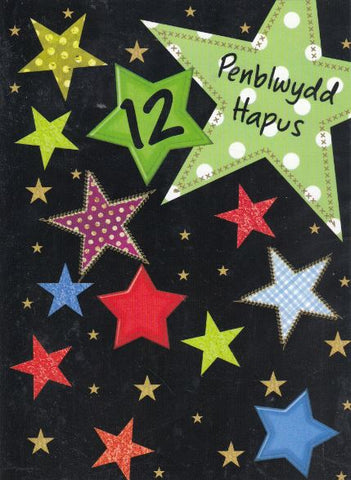 Penblwydd Hapus - 12