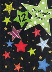 Penblwydd Hapus - 12