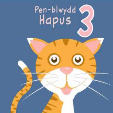 Pen-blwydd Hapus 3