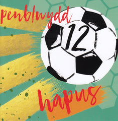 Penblwydd Hapus - 12