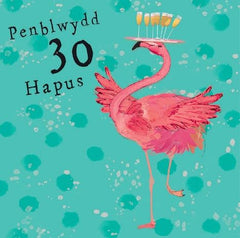 Penblwydd Hapus - 30