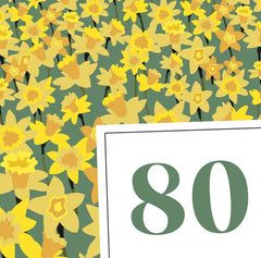 80
