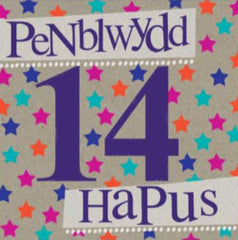 Penblwydd Hapus - 14